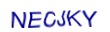 simple_captcha.jpg