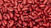 Beans